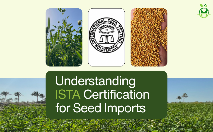 Understanding ISTA Certification for Seed Imports